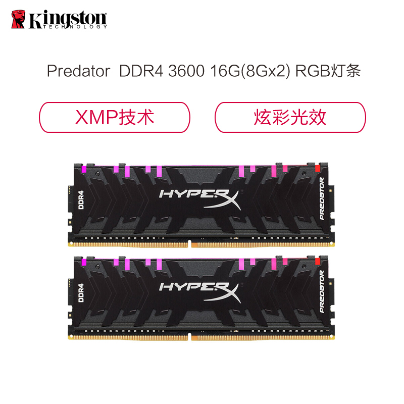 金士顿(Kingston)骇客神条 Predator系列 掠食者 DDR4 3600 16G(8Gx2)套装 台式机内存 RGB灯条