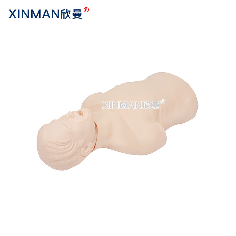 欣曼科教 高级成人气道梗塞及CPR模型 成人海姆立克急救训练模拟人 气道异物梗阻模型XM-CPR156高清大图