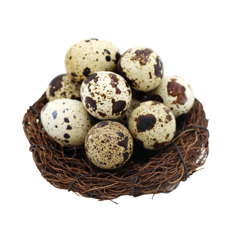 [熊猫鸟]鹌鹑蛋 50枚 农家杂粮生态蛋孕妇宝宝辅食正宗土特产生蛋高清大图