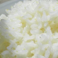 赛亚留胚米胚芽米10斤宝宝老人粥米 粳米东北大米新米5kg