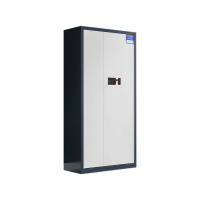 阿拉贡保密柜财务档案柜文件柜办公室资料储物柜保险柜通体灰框白门-指纹密码锁灰白