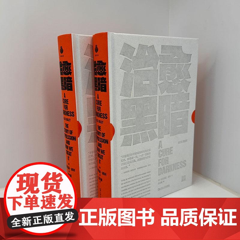 治愈黑暗 英亚历克斯莱利上海文艺出版社不开心抑郁症焦虑心理学情绪心理自助抑郁弗洛伊德精神分析疗愈高清大图