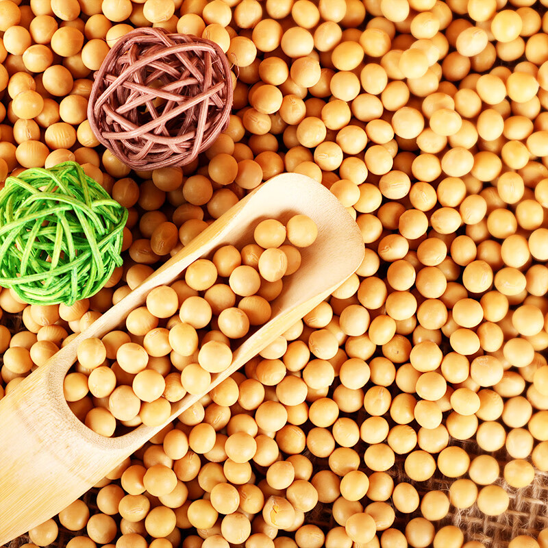 天地粮人 精品黄豆 礼袋装 350g*5包 袋高清大图