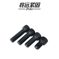 兆远紧固 内六角螺钉(个)(5*30)
