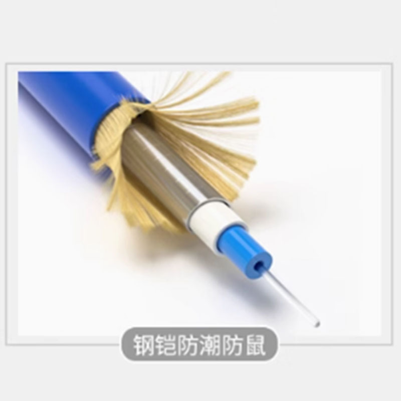 电信级铠装尾纤 单模双芯 光纤跳线LC-FC 防鼠咬阻燃 1条