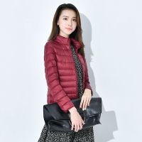 北极绒轻薄保暖羽绒服女短款立领时尚韩版修身2019冬大码女装外套羽绒外衣aL50W