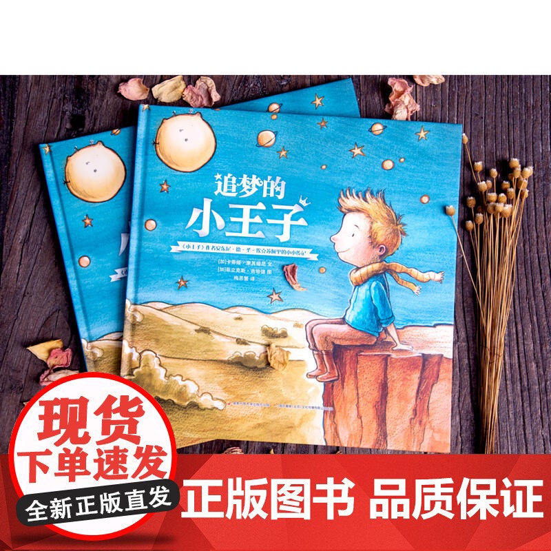追梦的小王子·小王子之父的故事高清大图