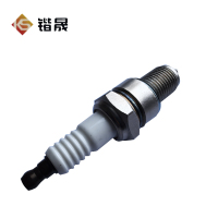 锴晟 火花塞 GX160/GX200 个