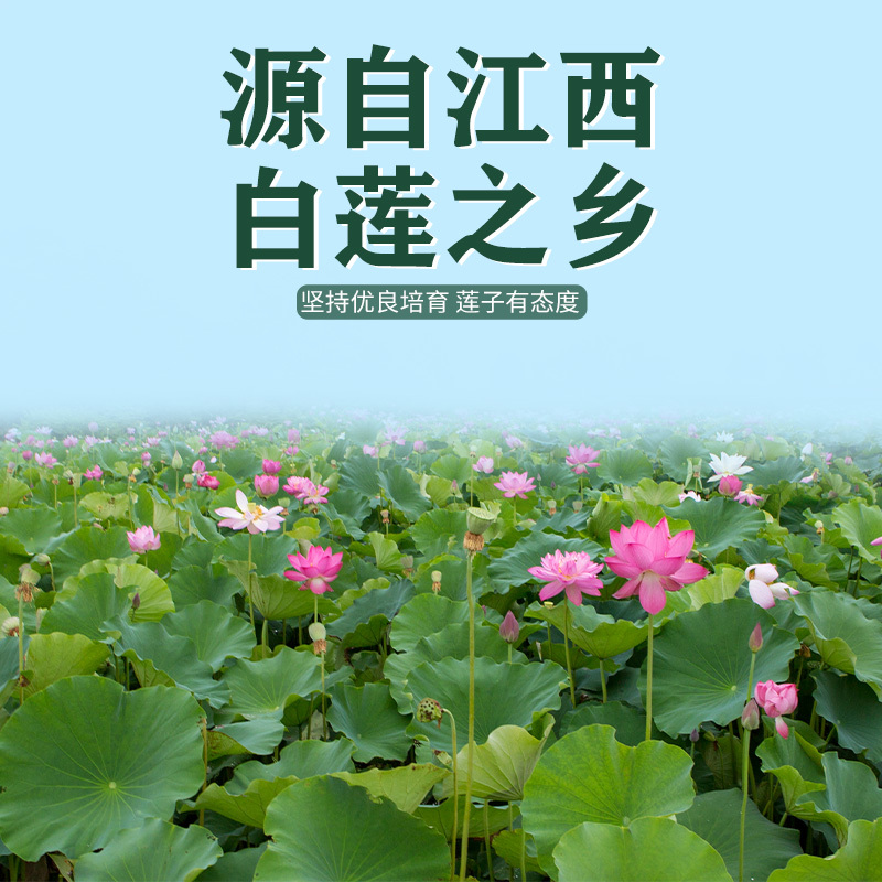 一品爽莲子200g 江西去心莲子干货新鲜去芯银耳百合红枣枸杞