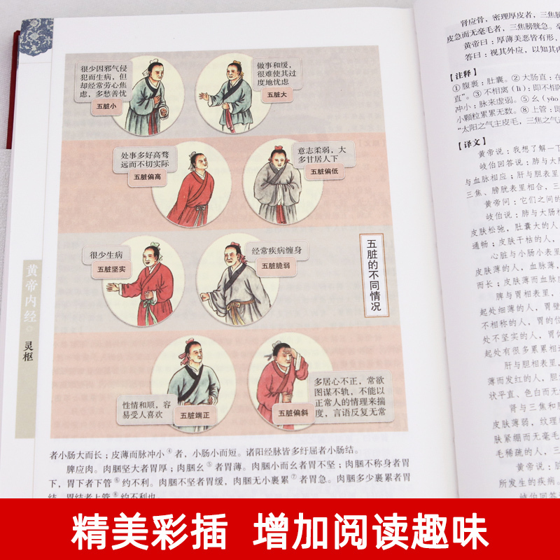 [完整无删减] 黄帝内经 全6册 [正版]精装全彩图解黄帝内经全集原文白话文版图解黄本草纲目皇帝内径原全注全译彩图中医基