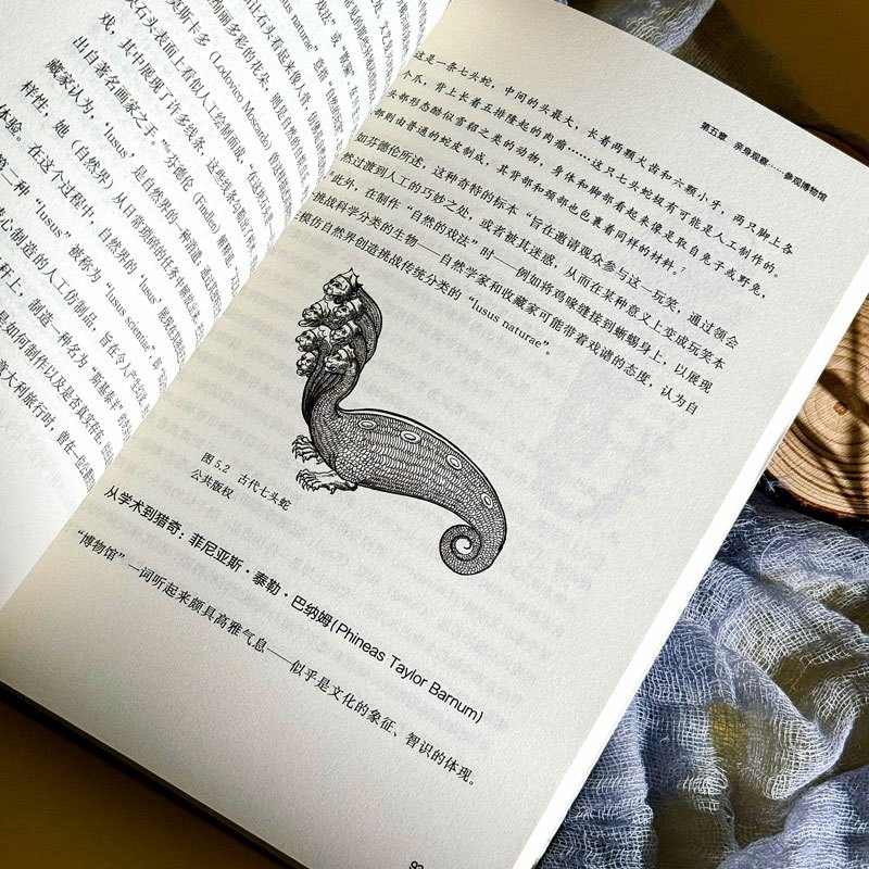 慢观察 观察学习的艺术与实践 [正版]慢观察 观察学习的艺术与实践 艺术与认知丛书
