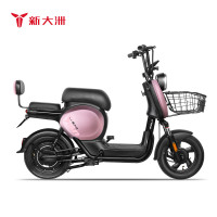 新大洲PALLA电动车 新国标48V24ah锂电池成人电瓶车代步车电动自行车长续航 K9幻影粉