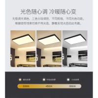 雷士照明(NVC)led客厅灯吸顶灯北欧现代简约灯长方形灯饰大气家用灯具套餐 测试商品