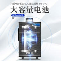 先科 (SAST) SA- 122英寸广场舞音响 蓝牙拉杆音箱 彩灯户外便携式音响大功率低音炮KTV 扩音器带无线麦克风