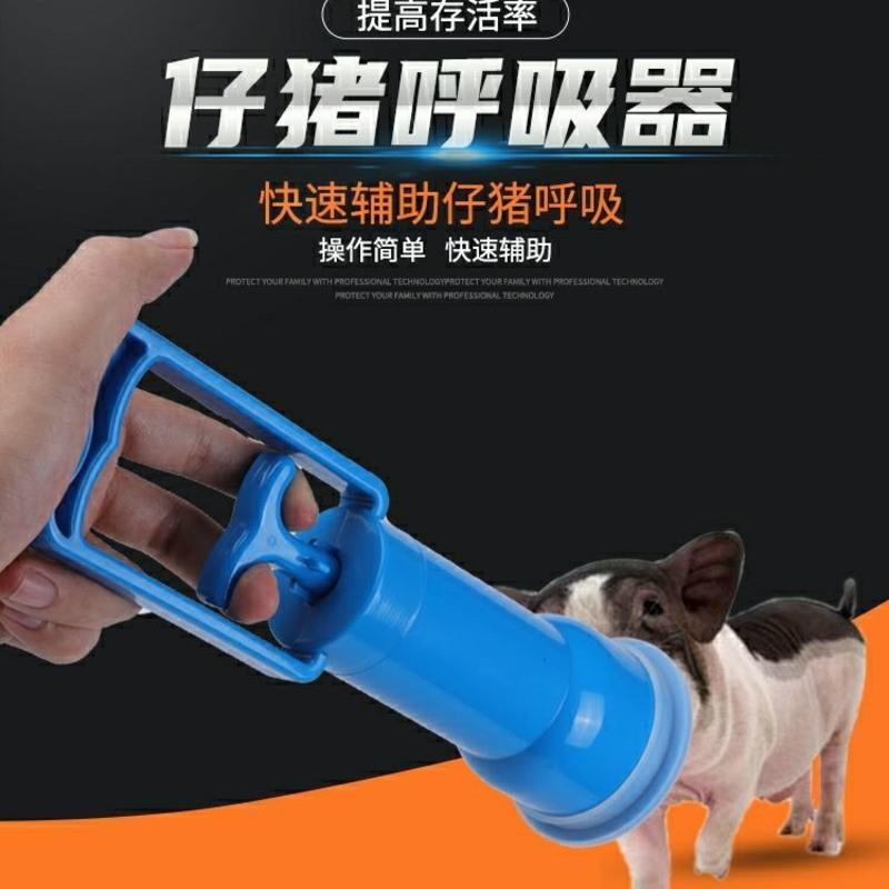 仔猪用呼吸器羊水抽子母猪生产设备新生小猪呼吸机呼吸泵吸痰器小猪呼吸器1个报价 参数 图片 视频 怎么样 问答 苏宁易购