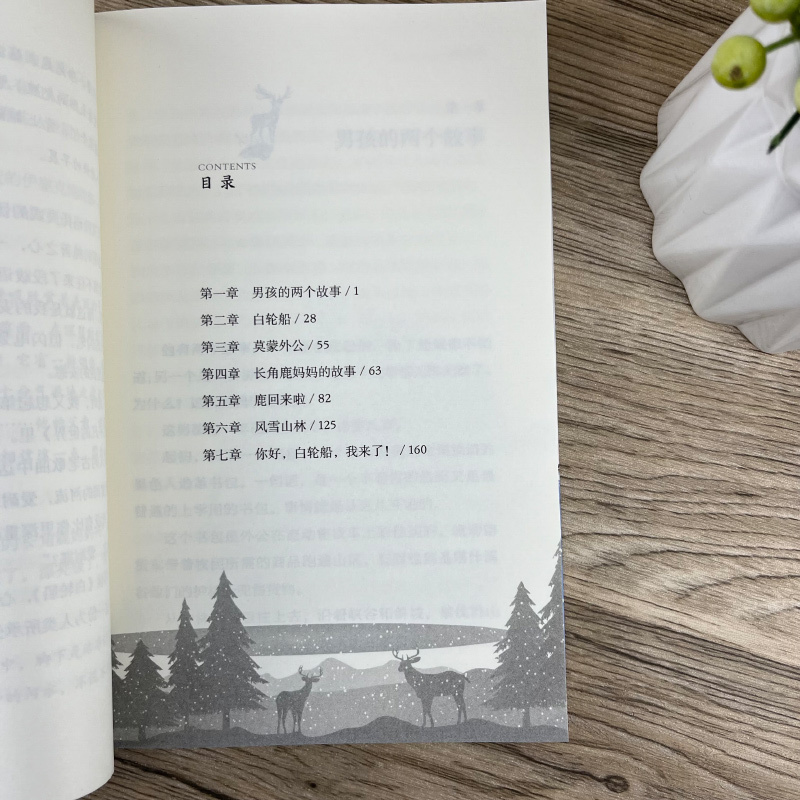 我在古代逛花园 [正版]白轮船 六年级 祖庆说百班千人大阅小森书籍 白轮船书 小学生课外书必读书籍儿童文学图书 安徽少年