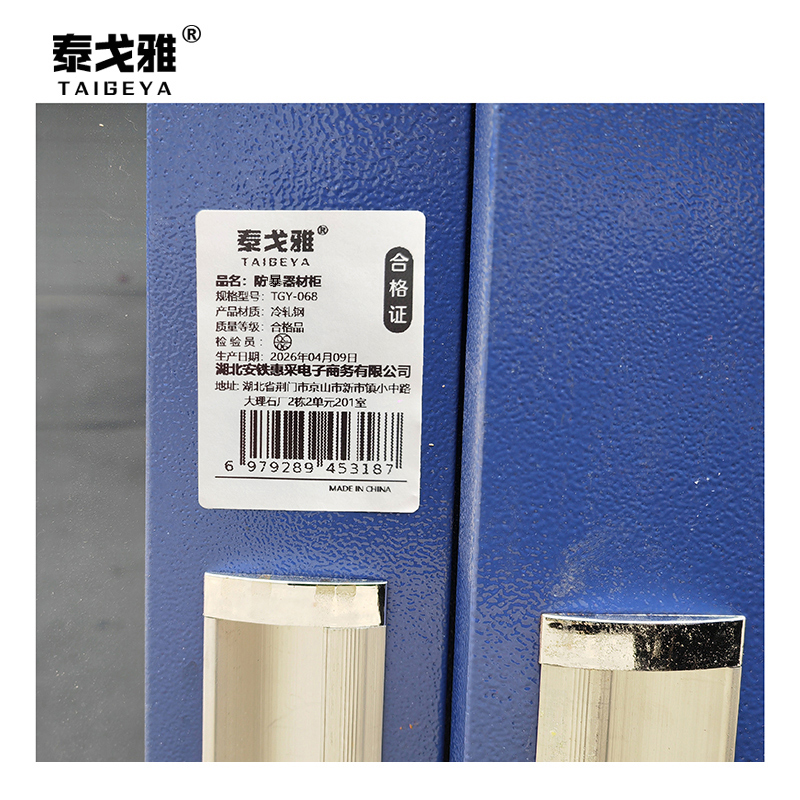 泰戈雅 防暴器材柜 TGY-068 台高清大图
