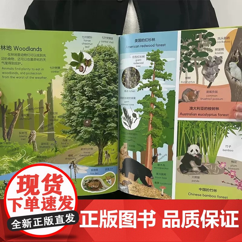 [带点读笔]DK自然双语词汇1000训练书儿童英语启蒙有声绘本幼儿学前早教书小达人点读英语自然拼读神器幼儿英语启蒙读物高清大图
