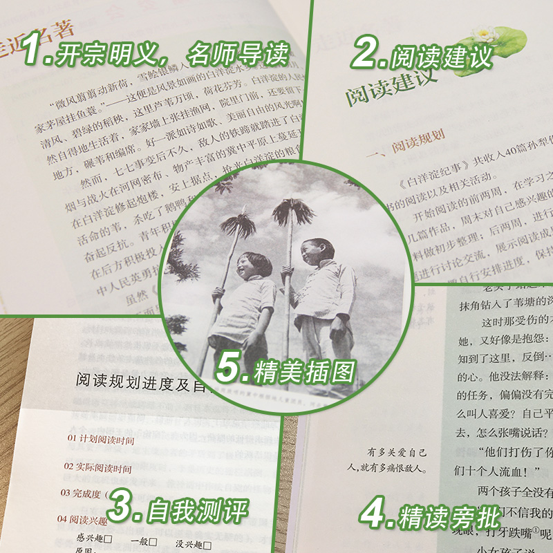 白洋淀纪事[人民教育出版社] [正版]白洋淀纪事 孙犁原著初中生7七年级上册课文建议阅读经典文学名著书籍军事小说文学完整高清大图