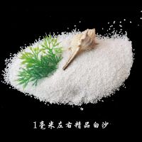 天然白沙 小石子 园艺造景多肉铺面营养土鱼缸底沙造景彩石 天然白沙（1毫米） 5斤