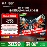 雷鸟 鹤7 25款65英寸 0.5%LR低反膜QD-MiniLED HVA屏 一级能效家电国家补贴65R695C