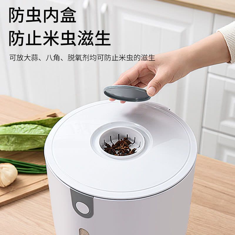 装米桶防虫防潮密封加厚米缸盒面桶大米面粉储存罐家用收纳储米箱 蓝色10斤[密封防虫防潮]图片