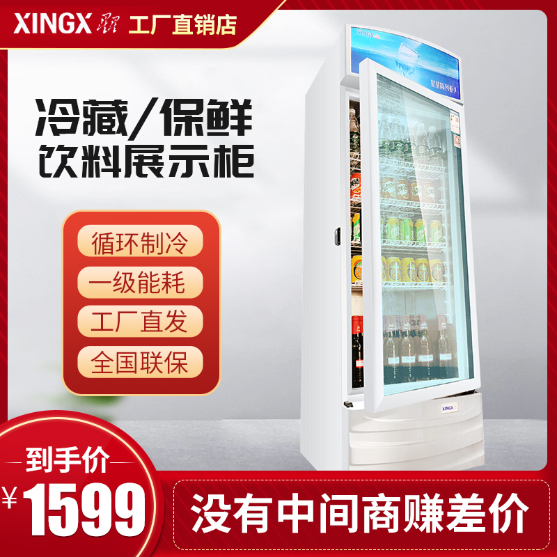 星星(XINGX)饮料展示柜冷藏展示立式冰柜饮料啤酒保鲜展示柜透明玻璃单门展示 冷藏柜 LSC-303G