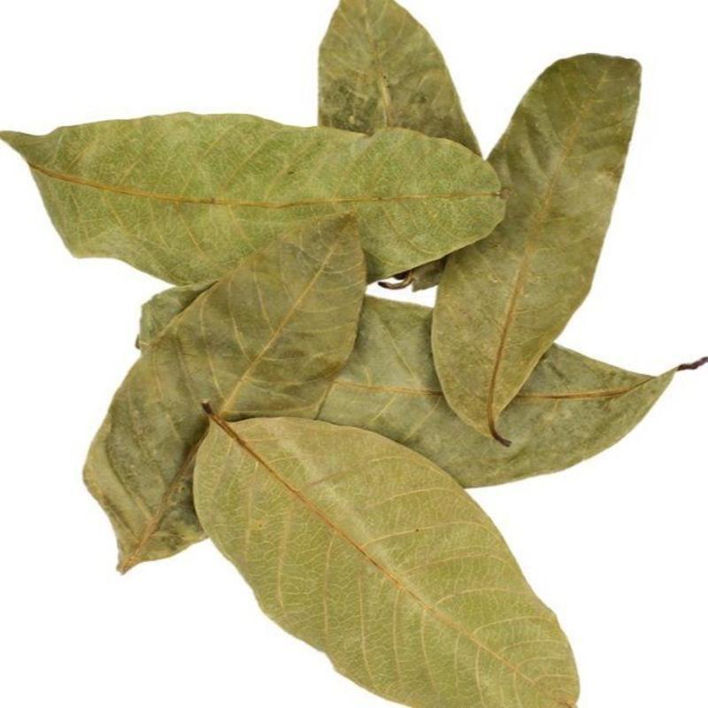 风干龙眼叶100片买3送1免煮乌龟龙眼叶腐皮养龟用品水族鱼缸榄仁叶