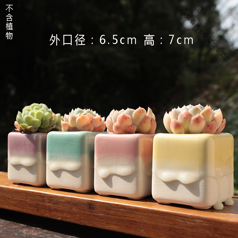简约多肉花盆陶瓷韩式清新手绘室内创意个性粗陶透气小盆清仓