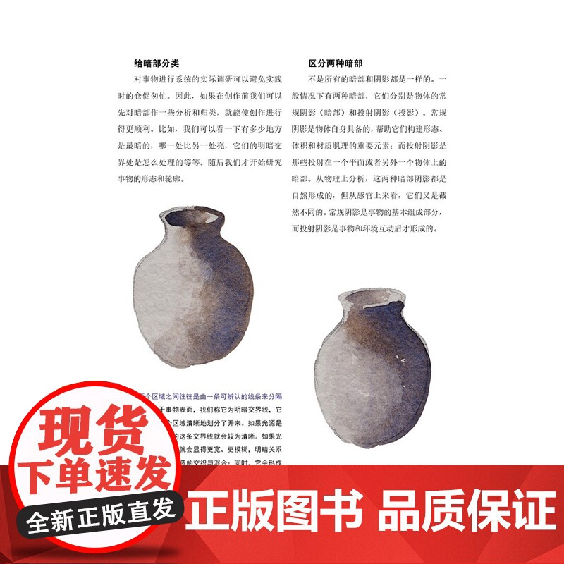 30天学会明暗关系 素描油画明暗关系概念理论绘画自学基础入门技巧教学艺联考高考美术教材分步解析进阶教程书 上海人民美术出高清大图