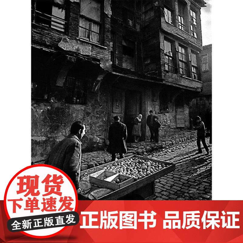 伊斯坦布尔一座城市的记忆/阿拉古勒的伊斯坦布尔 读城系列城市视觉摄影集外国欧美图片记忆世纪文景高清大图