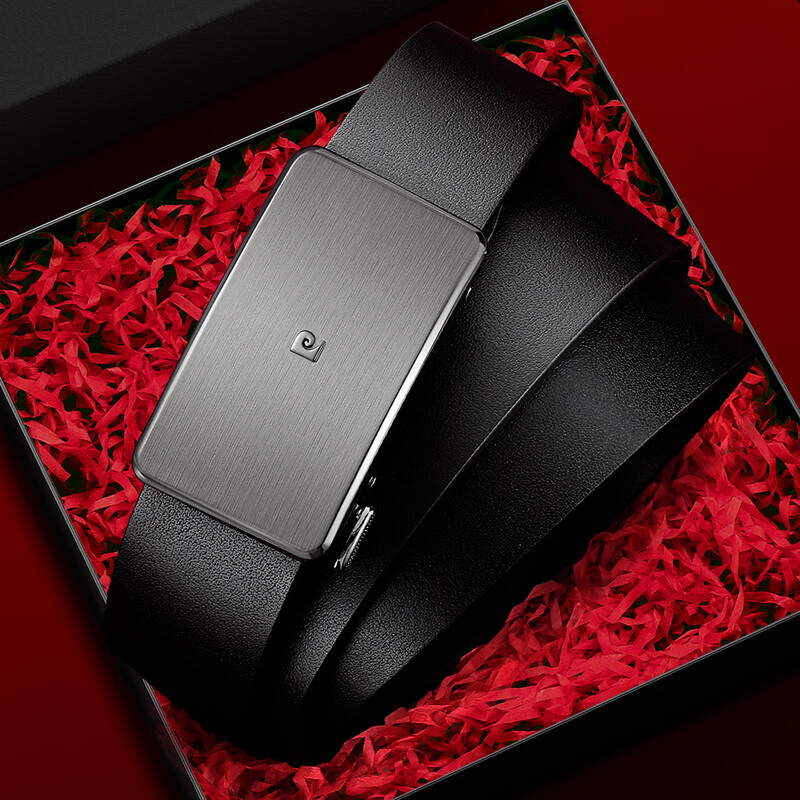 皮尔卡丹(pierre cardin)新款休闲男式自动扣皮带W41866311-7A高清大图