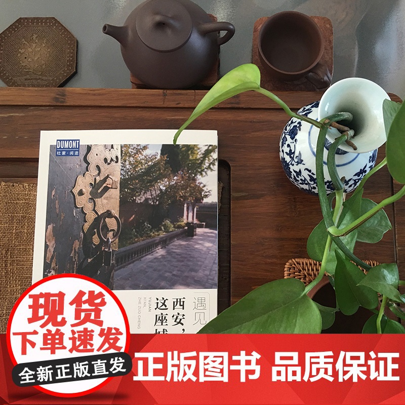 西安 这座城 藏羚羊旅行指南编辑部 著 旅游地图高清大图