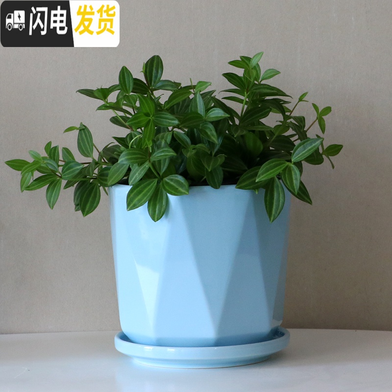 三维工匠陶瓷花盆带陶瓷托盘特大号大号简约家用绿萝吊兰花盆 HY71-04浅蓝光面 中等花盆容器高清大图