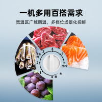 星星(XINGX)315升商用家用双温 冰柜 冷藏冷冻转换冷柜 商用保鲜设备展示柜 顶开门冰箱 BCD-315JE