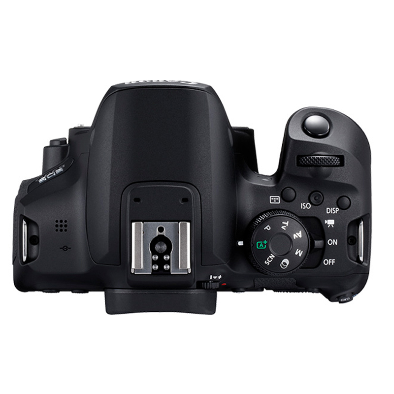 佳能(Canon) EOS 850D(单机身不含镜头) 数码单反相机 约2410万像素
