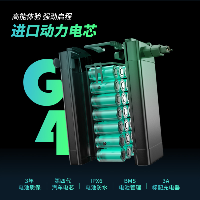 永久电动自行车F12
