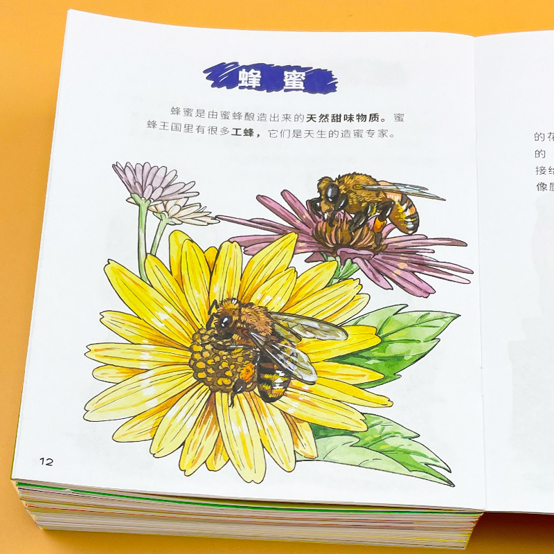 身边的科学儿童科普绘本 全8册 [正版]儿童科普绘本自然科学百科启蒙绘本故事3-6岁幼儿园宝宝课外阅读读物幼儿奇趣动植物