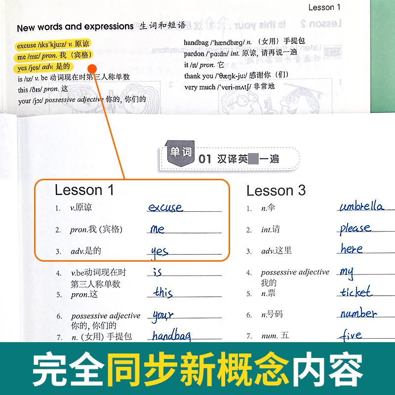 第2册(单词+短语+句子)3本 小学升初中 [正版]易蓓新概念英语1第一册单词默写本练习册短语句子默写本全套成人版词语词