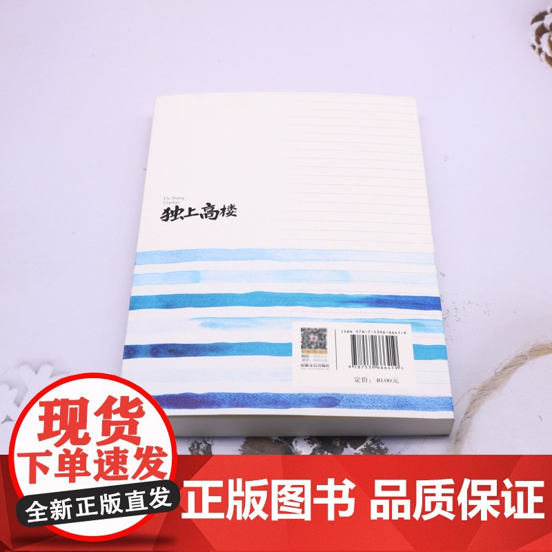 [余杭新华正版]独上高楼 姜琍敏著 小说