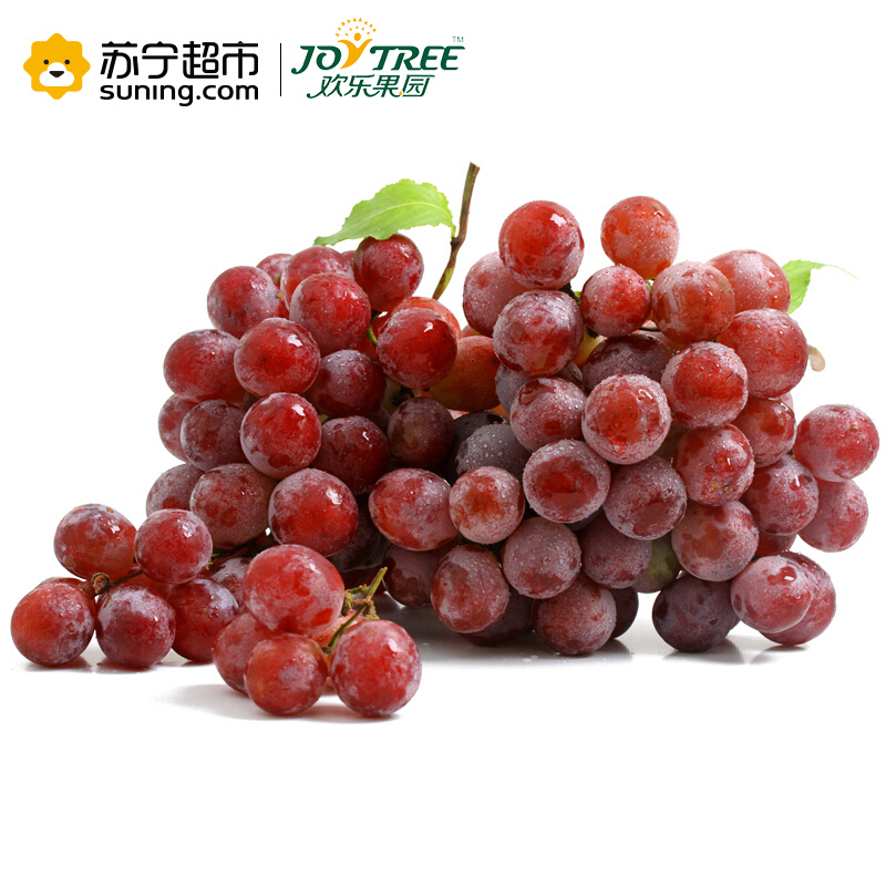 欢乐果园 云南宾川红提 500g装