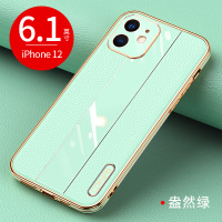 艾思度苹果12手机壳12pro牛皮12pro max创意光面mini电镀软壳