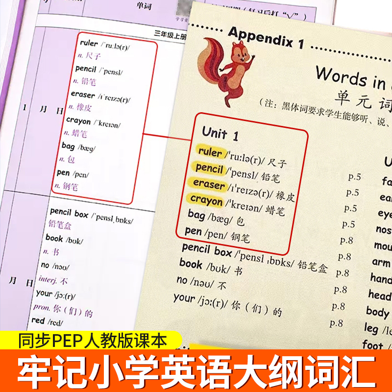 [全套2册]小学必背文学常识(详解+练习) 小学通用 [正版]荣恒小学英语必背单词艾宾浩斯记忆法三四五六年级词汇总表15