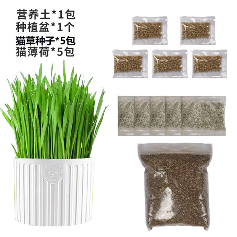 【补贴10%】猫草盆栽化毛草种子非已种好懒人小麦种子猫咪零食品水培营养种植 强力推荐猫草1套含种子营养土盒子+5包猫薄荷可种5次 1包套