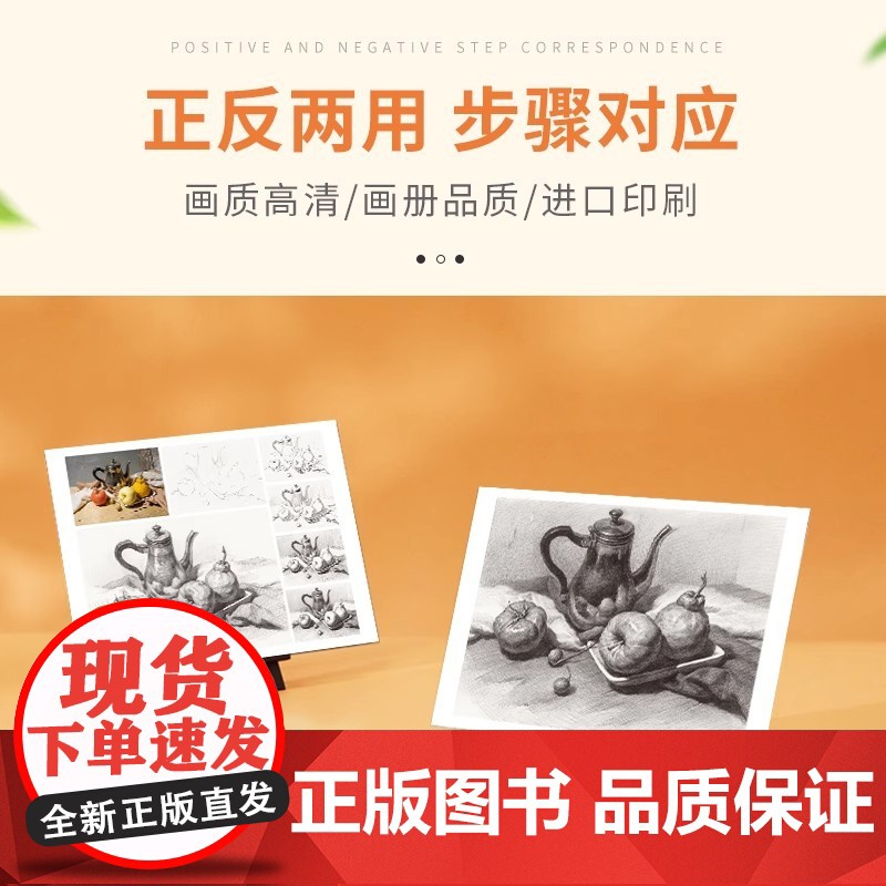 素描静物临摹卡 16开临摹范本单个静物结构与明暗静物组合精选绘画创意卡片初学者入门绘画学习临摹基础 一线美誉美术教程材书高清大图