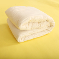 他她爱 全棉棉褥 褥子 纯棉褥子