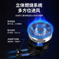 创维(Skyworth)燃气灶双灶具 5.2KW大火力家用猛火台式灶双灶炉具煤气灶不锈钢灶台JZT-Z2165(天然气)