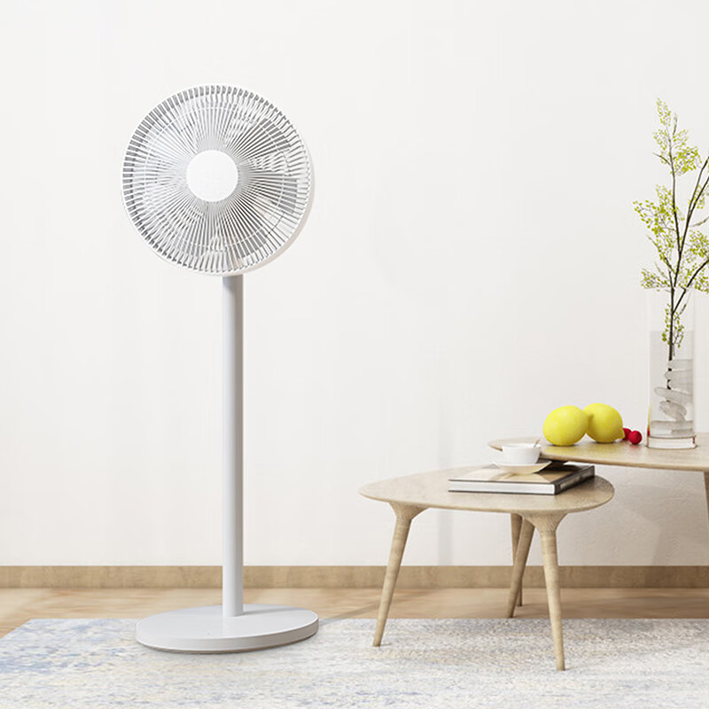 厨卫电器生活电器>生活小家电>电风扇>小米(mi)>小米(mi)米家落地扇电