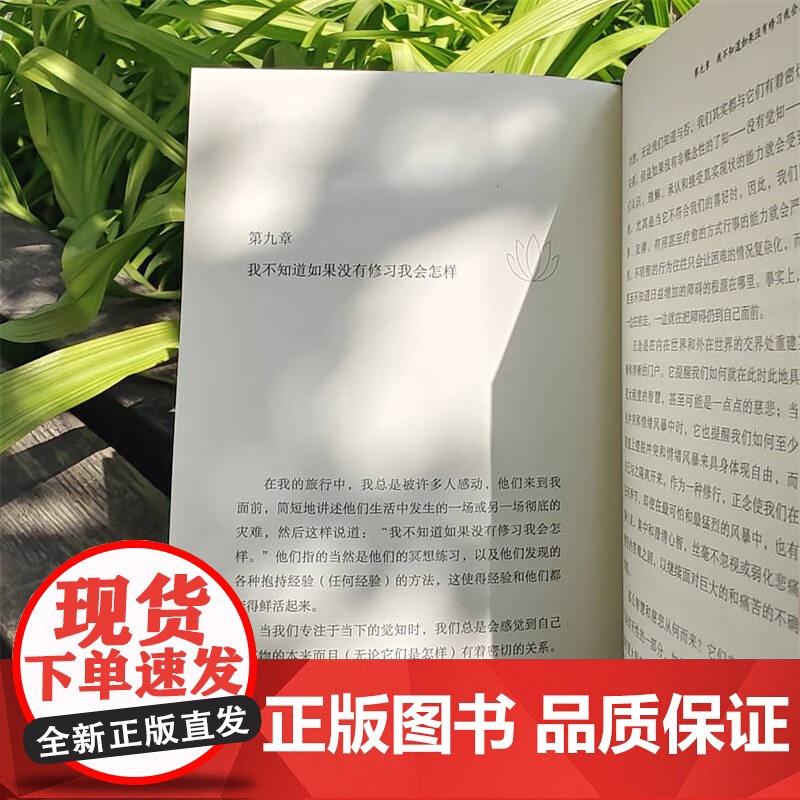 正念之道 疗愈受苦的心 乔恩·卡巴金 著 心理学高清大图