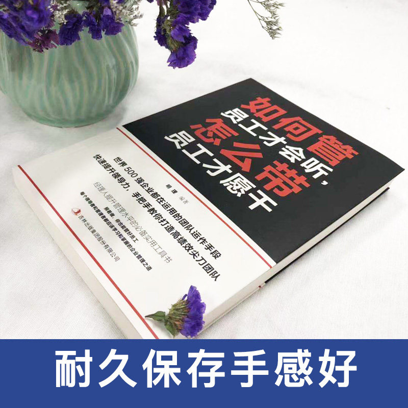 [正版] 如何管员工才会听怎么带员工才愿干 经营管理学书籍执行力人力资源工商财务仓库时间团队管理类如何带好一个团队书籍高清大图